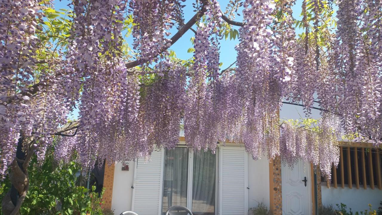 Вилла Casa Dos Gansos Perais Экстерьер фото